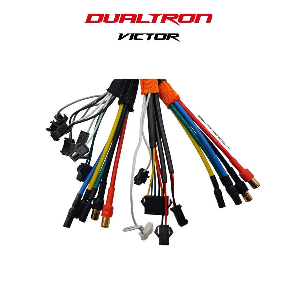 Styreenhet til Dualtron Victor / Luxury / Plus / Limited